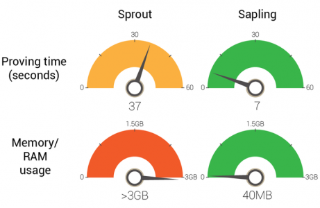 Sprout vs Sapling